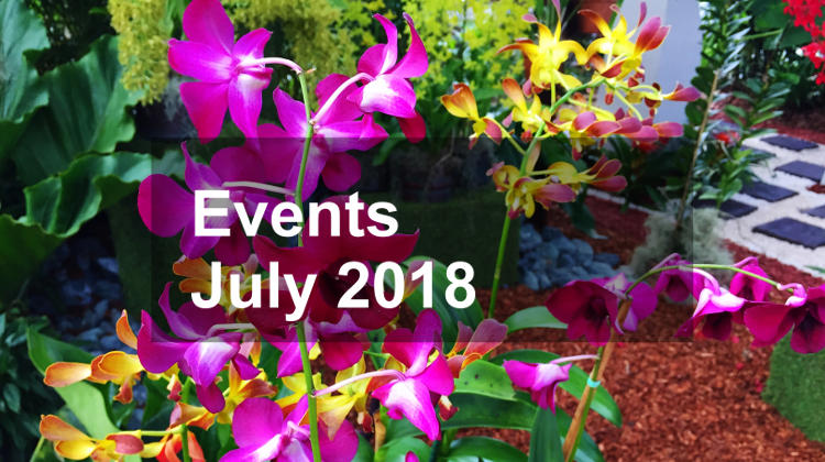 July 2018 Events In Puerto Rico El